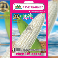 ราคา เมล็ดพันธุ์ ข้าวโพดลูกผสม ซุปเปอร์บิ๊ก ตราตะวันต้นกล้า (20045084302)