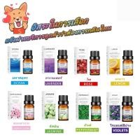 ราคา น้ำมันหอมระเหย100 สารสกัดจากพืชธรรมชาติบริสุทธิ์และดอกไม้10 ml (19428837805)