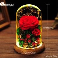 ราคา Seangel ของขวัญวันสตรีที่เก็บรักษาไว้ดอกไม้สดดอกไม้แห้งความงามและสัตว์เดรัจฉานสดสีแดงนิรันดร์กุหลาบในโดมแก้วสำหรับของขวัญวันวาเลนไทน์ล่าสุด3 5ปี (15587343909)