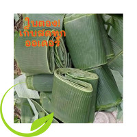 ราคา ใบกล้วย ใบตองตานี ใบตองน้ำว้า ใบตองกล้วยหอม (21178563314)