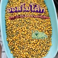 ราคา ปุ๋ยออสโมโค้ท ปุ๋ยเร่งดอก ปุ๋ยละลายช้า ออสโมโค้ท พลัส สูตร 12 25 6 ปุ๋ยแคคตัส 1 กิโล homes (8334089336)