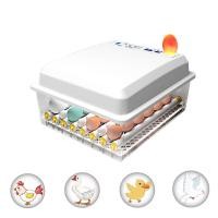 ราคา ตู้ฟักไข่ ตู้ฟัก เครื่องฟักไข่อัตโนมัติ ตู้ฟักไข่ไก่ เครื่องฟักไข่อัตโนมัติ ไข่ไก่ เป็ด ตู้ฟักไข่ถูกๆ ตู้ฟักไข่อัตโนมัติ 30 34 ชิ้น (16480390655)