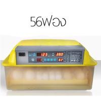 ราคา ส่งด่วนในไทย ตู้ฟักไข่ 16ฟอง ตู้ฟักไข่ถูกๆ เครื่องฟักไข่อัตโนมัติราคาถูก ตู้ฟักไข่ เครื่องฟักไข่ (20964844126)