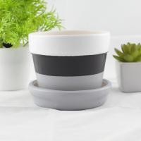 ราคา Piniya กลมใหญ่ กระถางต้นไม้ ดินเผา 11ซม ลายขวาง สีดำ กระถางเซรามิค กระถางดอกไม้ กระถางแคคตัส (828986449)