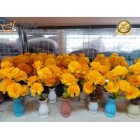 ราคา ดอกดาวเรือง ดอกไม้ปลอม ดอกไม้เเจกัน ดอกไม้สีเหลือง ดอกไม้ประดิษฐ์ (19522994376)