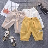 ราคา LANBAO กางเกงขาสั้นเด็ก กางเกงเด็กชาย4 5 กางเกงนักเรียน กางเกงขาสั้นลำลองสำหรับเด็กผู้ชาย กางเกงขาสั้นเด็กผู้ชาย กางเกงเด็ก (14861104872)