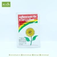 ราคา เมล็ดทานตะวันกระเทาะเปลือก 25 กรัม ฟลาวเวอร์ฟู๊ด (7712672820)