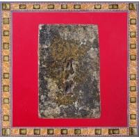 ราคา พระสมเด็จหลังก้างปลา พระสะสม พระเก่า พระกรุ พระเครื่อง jaeiamulrts p8 (21149348230)