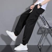 ราคา Issey Miyake Issey Miyake กางเกงจับจีบผู้ชายขาตรงทรงหลวมอเนกประสงค์กางเกงขาบานฤดูใบไม้ผลิและฤดูร้อนกางเกงขายาวลำลองญี่ปุ่น (20343784554)