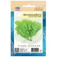 ราคา เมล็ดผักใบ กระเพรา โหระพา แมงลัก ผักเสี้ยน ผักชีลาว ผักชี ผักโขมใบกระ ผักโขมแดง ผักกาดหอมเมล็ดขาว ผักกาดหอม เจียไต๋ (19851385549)