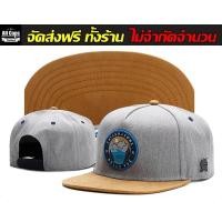 ราคา หมวก หมวกแก๊ป Snapback Cap CAYLER SON BELLE VUE เทาส้มอ่อน (106047901)