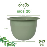 ราคา กระถาง จานรอง กระถางต้นไม้ อ่างบัว กระถางบัว เบอร์ 20 22 นิ้ว สีดำ สีขาว สีอิฐ สีเขียว (20894289988)