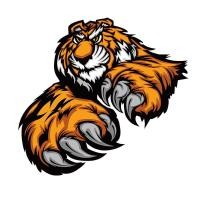 ราคา ตัวรีดติดลายเสื้อ TK 37 ลายเสือ หน้าเสือ ลายติดเสื้อ เท่ห์ๆๆ แผ๋นฟิล์มรีดร้อน (19939604406)