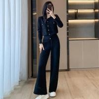 ราคา ชุดสูท2ชิ้นสำหรับผู้หญิงชุดกางเกงเสื้อโค้ตสตรีชุด2ชิ้นเสื้อแบบลำลองกางเกงขาม้าใหม่ฤดูใบไม้ผลิและฤดูร้อน (18929951174)