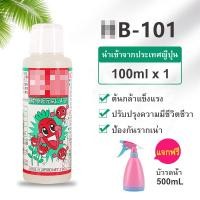 ราคา B 101 ปุ๋ยเร่งโตขนาด 6 50 cc นำเข้าจากญี่ปุ่น อาหารเสริมพืช ปุ๋ยน้ำสูตรเข้นข้น ปุ๋ยบอนไซ ปุ๋ยทางใบ ปุ๋ยออสโมโค้ท B1 (12372203434)