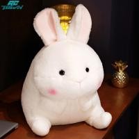 ราคา ตุ๊กตาตุ๊กตากระต่ายน่ารักน่ารักกระต่ายยัดนุ่นตุ๊กตาการ์ตูนของเล่นสัตว์น่ารักของขวัญปีใหม่สำหรับเด็ก (21027527162)