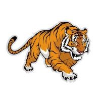 ราคา ตัวรีดติดลายเสื้อ TK 37 ลายเสือ หน้าเสือ ลายติดเสื้อ เท่ห์ๆๆ แผ๋นฟิล์มรีดร้อน (19939604441)