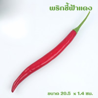 ราคา ผักโมเดล ผักพลาสติก ผักปลอม ผักผลไม้ปลอม สำหรับตกแต่งร้านอาหาร แต่งบ้าน แต่งร้านค้า (21144725460)