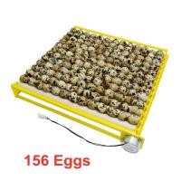 ราคา 42 56 156 ตู้ฟักไข่ 12 110 220V 360 องศาเครื่องกลึงไข่หมุนอัตโนมัติเทอร์โมสตัทไข่ (20061156464)