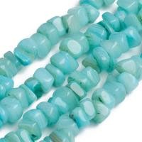ราคา Shell Beads Strands for Jewelry Making DIY Crafts Dyed Nuggets Turquoise 6 2x6 2x1 3mm Hole 0 8mm about 107pcs strand 15 16 inch 38 5cm (21081201192)