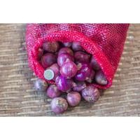 ราคา หอมแขก หัวใหญ่ 500 1000กรัม แห้ง สด แข็งทุกลูก คัดพิเศษ Onion หอมแดงแขก หอมยำ (21085771932)