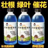 ราคา Super Life ผลิตภัณฑ์ปุ๋ยเข้มข้นสำหรับพืชทั่วไป (20823387661)