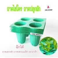 ราคา ถาดไฮโดร ถาดปลูกผัก Hydroponics สำหรับปลูกผักไฮโดรโปนิกส์ ผักไร้ดิน 4 หลุม ฉีกได้ ถาดเพาะกล้า ถาดเพาะชำ ถาดเพาะเมล็ด (15046657040)