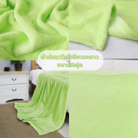 ราคา ผ้าห่มนาโนสีเขียว ขนาด60x80นิ้ว (17782495583)
