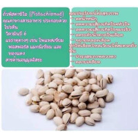 ราคา พิสตาชิโอ pistachionut ถั่วพิสตาชิโอ ถั่วไว้ทานเล่นพร้อมส่ง (9922706036)