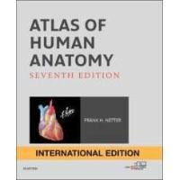 ราคา Best friend Atlas of Human Anatomy International Edition Netter Basic Science Paperback 7 Revised Paperback (7822622463)