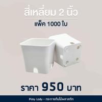ราคา กระถางทรงสี่เหลี่ยม 2 นิ้ว สีขาว 1000 ใบ (15598059063)
