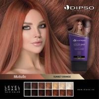 ราคา Dipso ดิ๊ฟโซ่ แว๊กซ์ เปลี่ยนสีผม 150 มล จัดเต็มมากกว่า 15 เฉดสี ทำสีผม สวยสไตล์ idol เกาหลี ทำเองได้ที่บ้าน (16476530035)