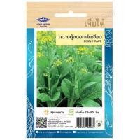 ราคา เมล็ดผักใบ กระเพรา โหระพา แมงลัก ผักเสี้ยน ผักชีลาว ผักชี ผักโขมใบกระ ผักโขมแดง ผักกาดหอมเมล็ดขาว ผักกาดหอม เจียไต๋ (19851385561)