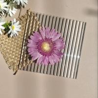 ราคา ดอกเยอบีร่า ดอกไม้แห้ง สีชมพูอมม่วง สำหรับงาน DIY งานเรซิ่นและตกแต่งอื่นๆ (20976834453)