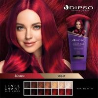 ราคา Dipso ดิ๊ฟโซ่ แว๊กซ์ เปลี่ยนสีผม 150 มล จัดเต็มมากกว่า 15 เฉดสี ทำสีผม สวยสไตล์ idol เกาหลี ทำเองได้ที่บ้าน (7857920756)