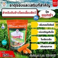 ราคา แมกซ่า ธาตุอาหารรอง ธาตุอาหารเสริมพืช แมกนีเซียม ซิงค์ เพิ่มคุณภาพและผลผลิตให้ต้นข้าวโพดเลี้ยงสัตว์ (21067374427)