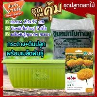 ราคา ชุดปลูกผักออแกนิค ชุดปลูกผัก ชุดปลูกผักสำเร็จ ดินปลูกผัก เมล็ดพันธุ์ศรแดง กระถาง ปลูกง่าย ไม่ยุ่งยาก โตไว homes (9628672215)