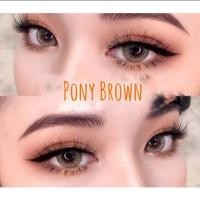 ราคา Bigeye Pony Pola gray คอนแทคเลนส์ โพนี่ โพล่า สีเทา สายตาปกติ (20124655000)