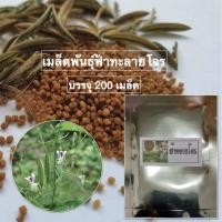 ราคา เมล็ดฟ้าทะลายโจร บรรจุ 500 เมล็ด ราคา 99 บาท (9670591016)