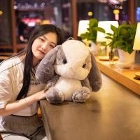 ราคา กระเป๋าตุ๊กตากระต่ายนุ่มนิ่มสี50ซม ตุ๊กตาสัตว์ยัดนุ่นกระต่ายนุ่มตุ๊กตากระเป๋าสะพายท่องเที่ยวผู้หญิงการตกแต่งร้านของขวัญวันเกิดสำหรับเด็ก (20787675929)