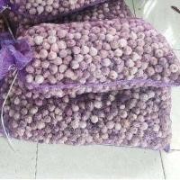 ราคา กระเทียมโทน กระเทียมโทนสด เม็ดกลาง ราคาส่ง แพค 10 กิโลกรัม (7877943145)