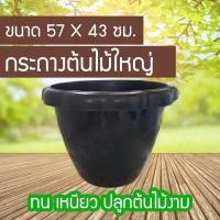 ราคา อ่างบัวพลาสติก แบบหนา อ่างเลี้ยงปลา อ่างปลูกต้นไม้ HABSDH137 6456786546 (10370177350)