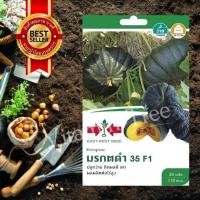 ราคา เมล็ดพันธุ์ ฟักทอง มรกตดำ 30เมล็ด ศรแดง เมล็ด ต้นไม้ เมล็ดผัก เมล็ดดอกไม้ ดอกไม้ ผัก ผักสวนครัว สลัด เมล็ดพันธุ์พืช (10038725354)
