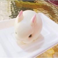 ราคา พิมพ์กระต่าย พิมพ์วุ้น พิมพ์ซิลิโคน พิมพ์สบู่ กระต่ายน้อย3มิต 3D 6 ช่อง อุปกรณ์ เบเกอรี่ (16481013783)