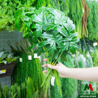 ราคา Megapro ต้นไม้ปลอม ต้นซานาดู แต่งบ้าน ดอกไม้ปลอม ดอกไม้พลาสติก (13115763371)