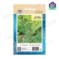 ราคา เมล็ดผักใบ กระเพรา โหระพา แมงลัก ผักเสี้ยน ผักชีลาว ผักชี ผักโขมใบกระ ผักโขมแดง ผักกาดหอมเมล็ดขาว ผักกาดหอม เจียไต๋ (18538566611)