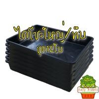 ราคา ถาดเพาะต้นอ่อน ถาดไดโซะ ถาดเพาะแคคตัส จำนวน 12 ใบ มี 2 แบบ มีรู ไม่มีรู ทึบ เพาะต้นกล้า เพาะต้นอ่อน ต้นอ่อนทานตะวัน ต้นอ่อนผักบุ้ง (15499480208)