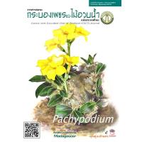 ราคา วารสารชมรมกระบองเพชรและไม้อวบน้ำ แคคตัส กระบองเพชร ไม้อวบน้ำ cactus succulent (17524699385)