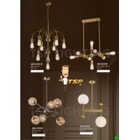 ราคา โคมไฟห้อยโมเดิร์น EVL TSP (18377643258)