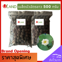 ราคา Uland เมล็ดพันธุ์บัวฉัตรขาว 500 กรัม บัวหลวง เต็มเมล็ด อัตราการงอกสูง เมล็ดพันธุ์บัว บัวฉัตร ดอกบัวฉัตร บัวประดับ บัวไหว้พระ บัวสวยงาม (15554005545)